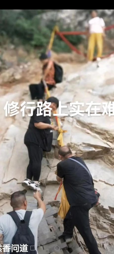 道侣：修行路上的伴侣