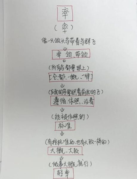 率怎么读，「率」字的读音与意义解析