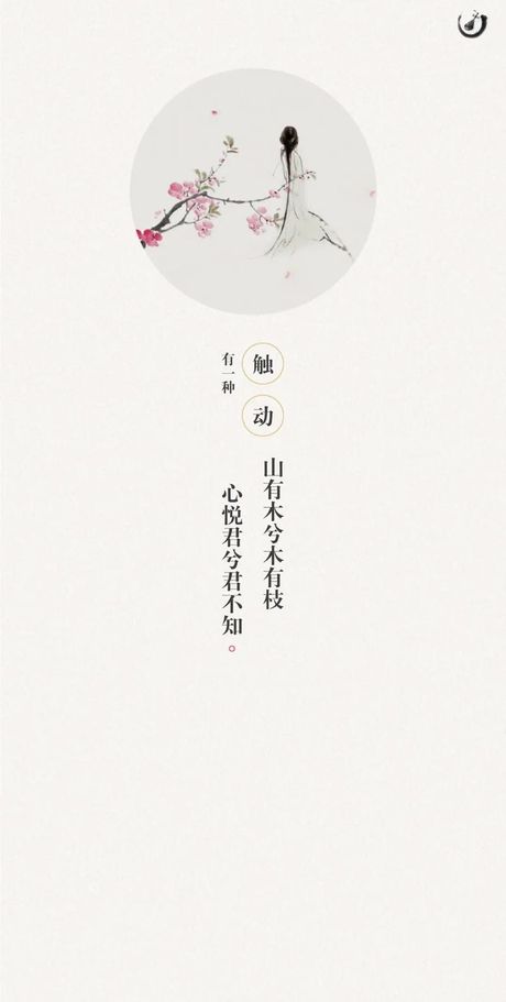 山有木兮木有枝：诗意与自然奥秘