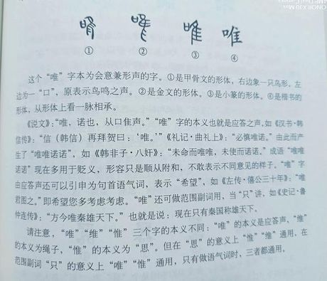 唯的意思，唯的释义与源流