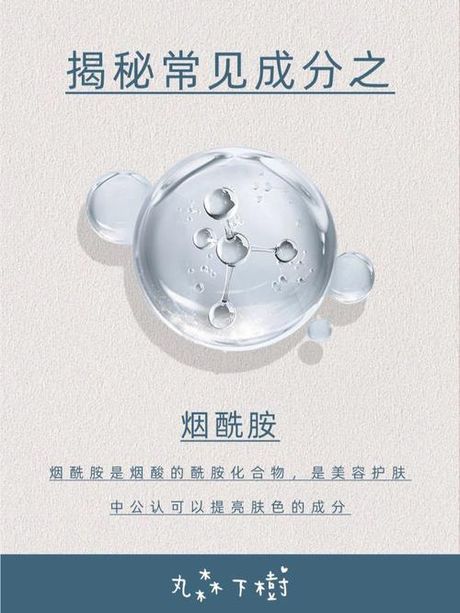 “岱”字的正确读音：科普解析