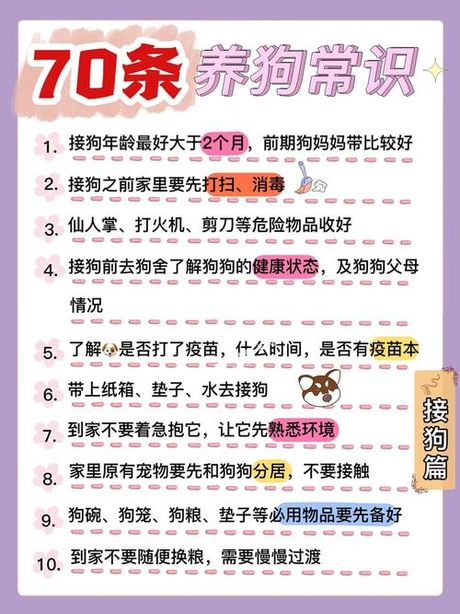 阿拉斯加犬的养护之道