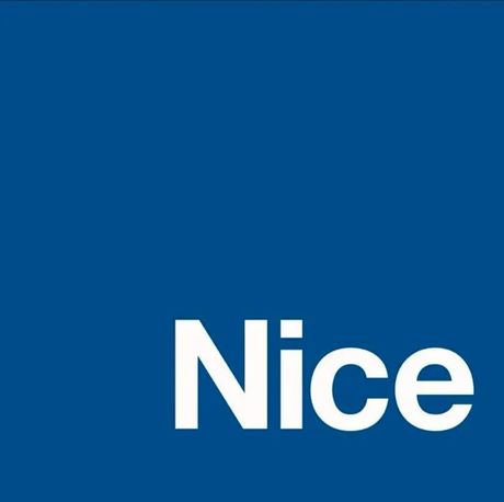 nice的意思是什么