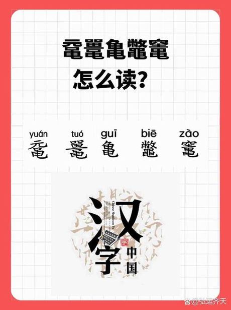 鼍怎么读，鼍字的读音与含义解析