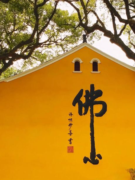 “拜了佛冷”：网络流行语的起源与含义