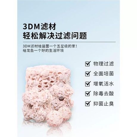 如何确认硝化菌培养成功