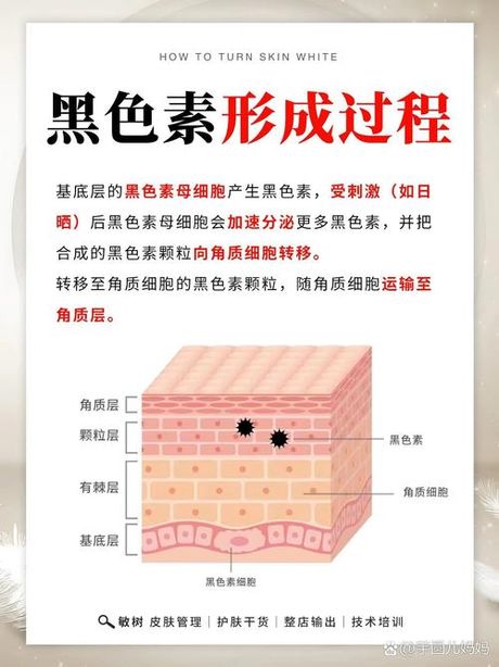 为什么那两瓣是黑的怎么变粉