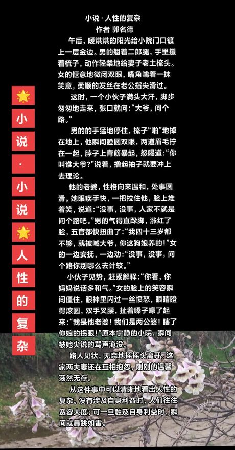 《甄珠》：一部探讨复杂人性的小说