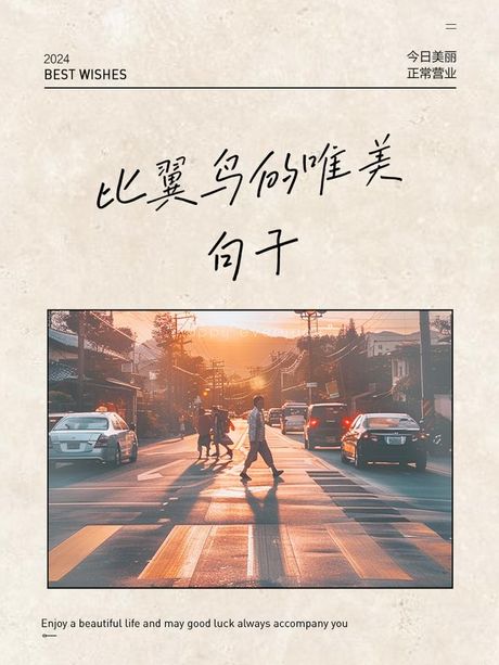 比翼而飞的意思