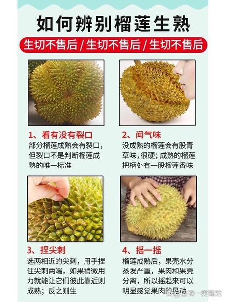 榴莲怎么看熟不熟，如何判断榴莲是否成熟？