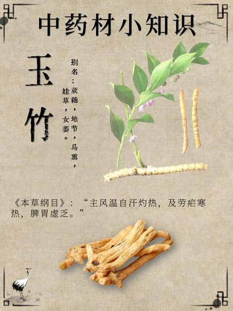 玉竹的价格与收购渠道