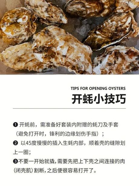 牡蛎怎么清洗