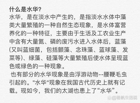 水华现象的原因