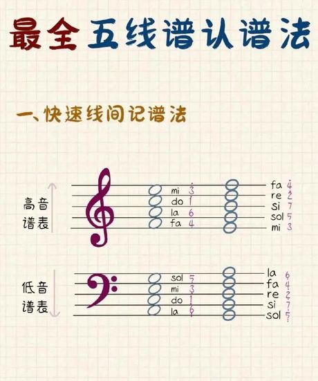 五线谱怎么看：全面解析与学习指南
