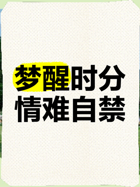 梦醒时分：字面与象征的双重解析