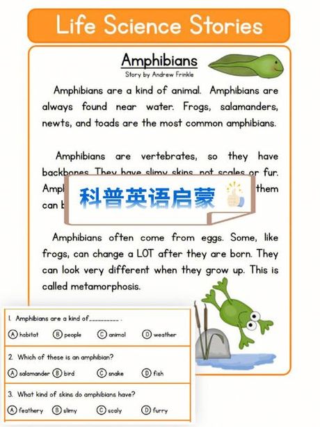 “Box”怎么读？——英语发音小科普