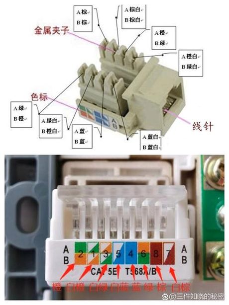 家里网线插座怎么接：一步步详解