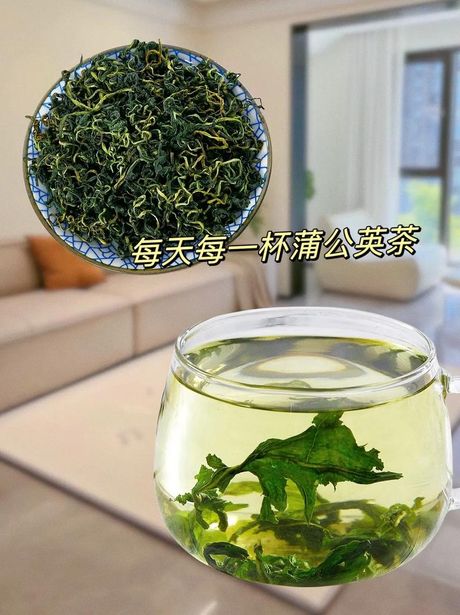 蒲公英茶：每日最佳饮用量