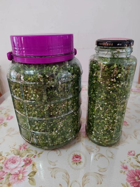 韭菜花腌制技巧：保持鲜亮的颜色