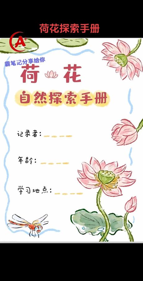 小莲花香：探寻其背后的科学奥秘