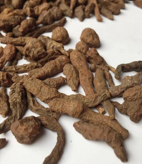 蕨麻的食用方法