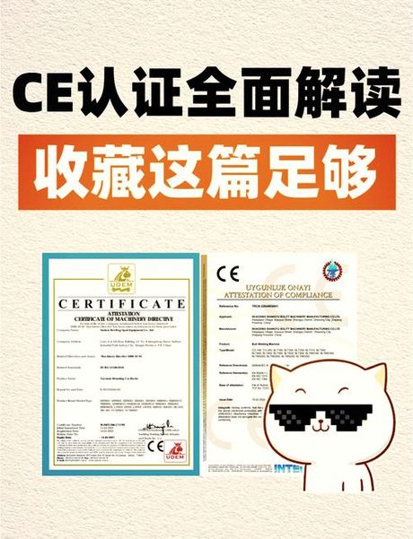 徐章勋:篮球运动员到综艺明星的转型之旅