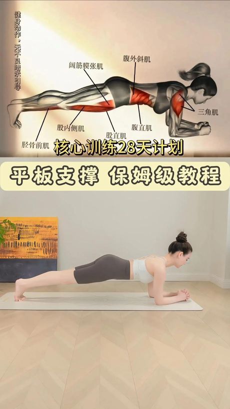 平板支撑一天做多少