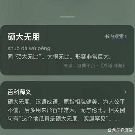 硕大无朋：探求其深厚的历史底蕴与丰富含义