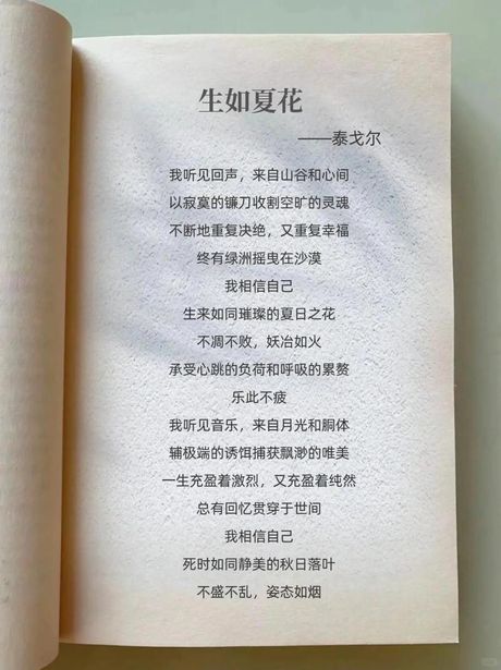 生如夏花：生命之美与绚烂