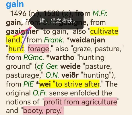 gain是什么意思，Gain是什么意思