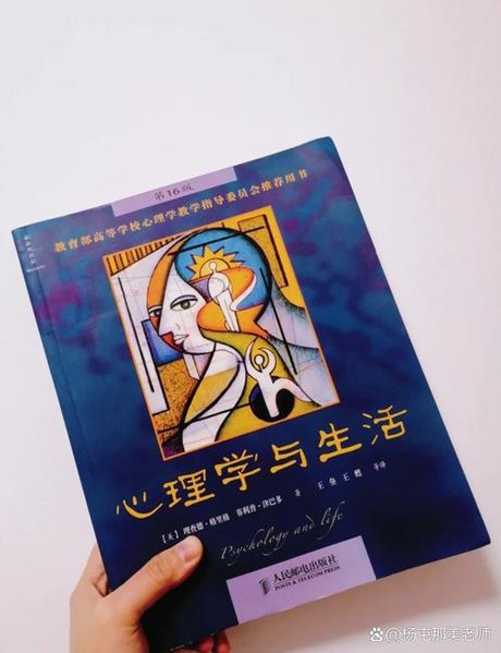 兴味盎然：探索兴趣的奥秘