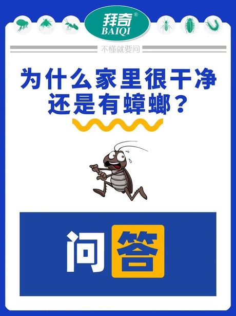 为什么家里干净却仍有蟑螂？