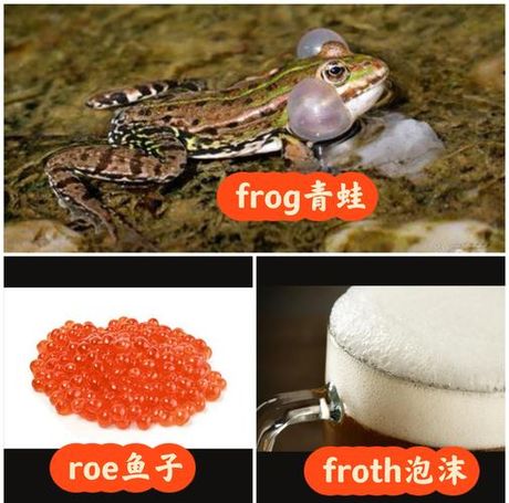 科普： frog 怎么读