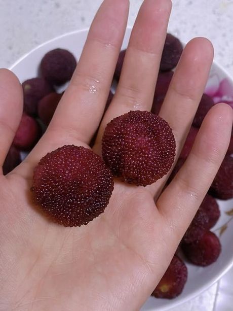杨梅冷藏：保鲜时间的奥秘