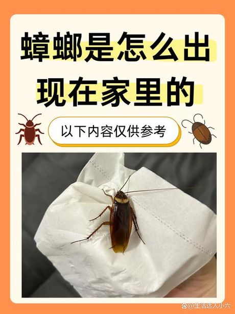 蟑螂是怎么产生的
