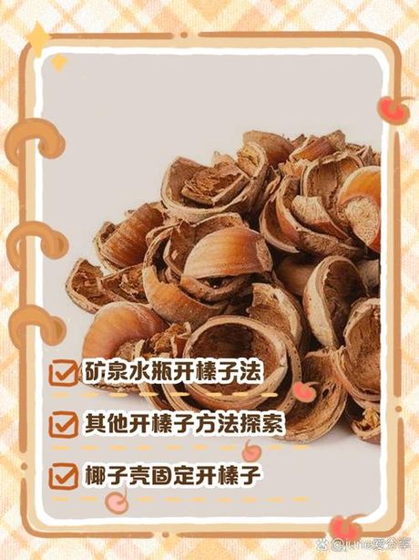 生榛子怎么吃怎么开壳