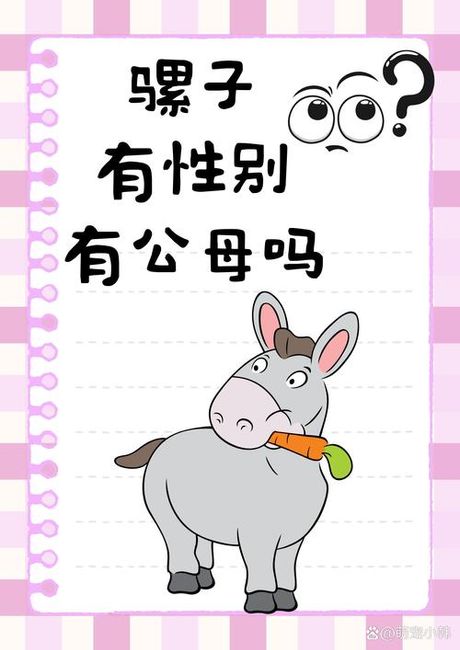 koko哒哟：一个流行语的起源与意义