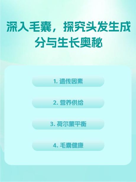 人类的头发：数量与奥秘