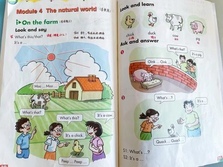 探索鸡的英文名称：Chicken