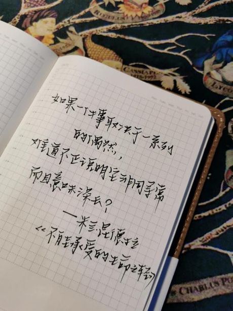 意味深长的含义与运用