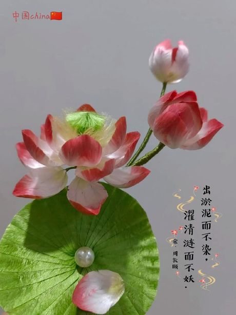 出淤泥而不染濯清涟而不妖的意思