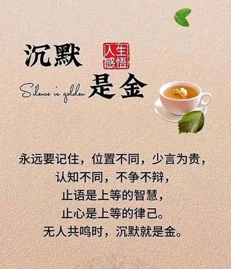 沉默不语的意思