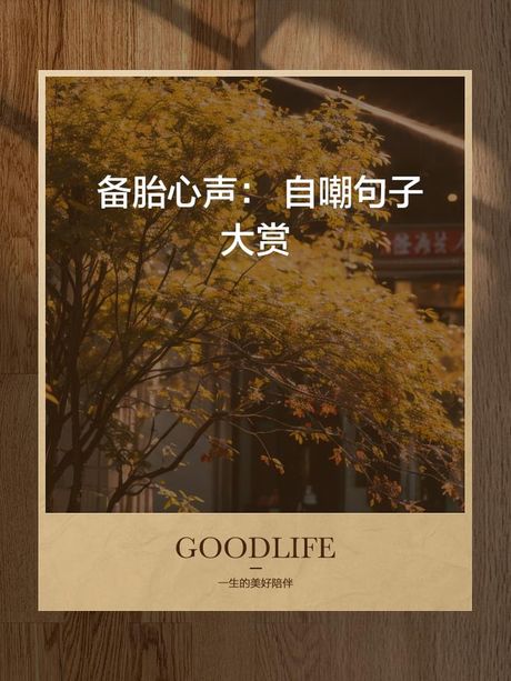 备胎什么意思，备胎（网络用语）