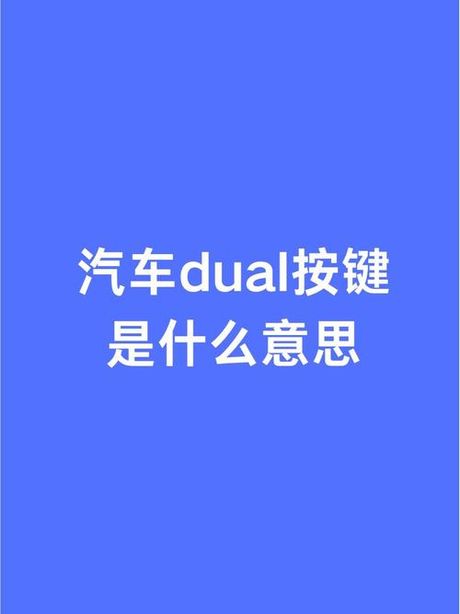 汽车dual是什么意思