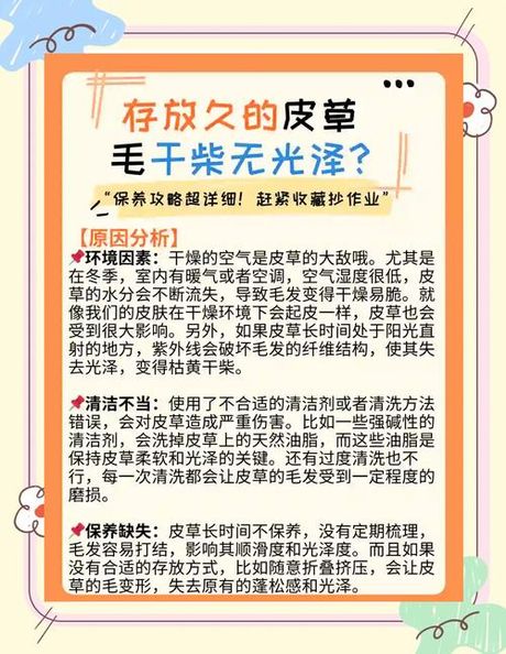 貂皮怎么清洗，貂皮清洗与保养指南