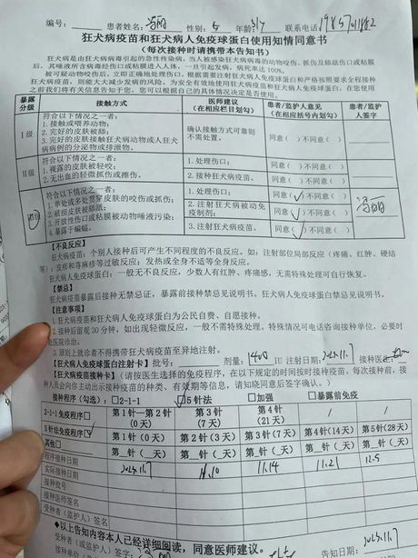 老鼠咬睡着的人：你可能不知道的原因