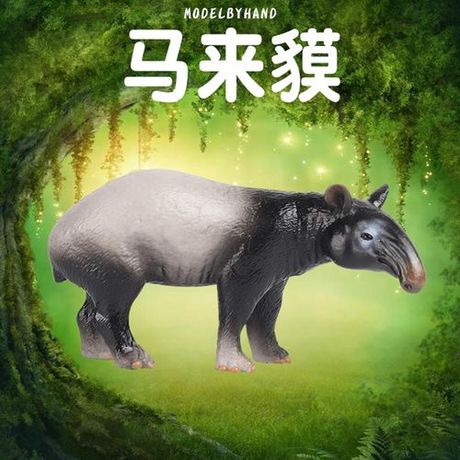 探索神秘生物：貘的读音