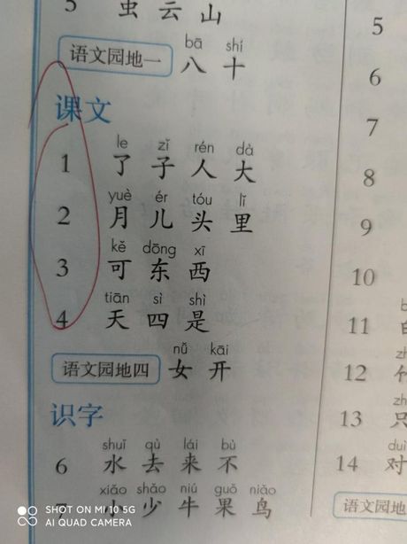 头发的拼音怎么写？