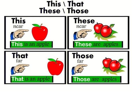 理解英语中的“These”：指示代词的奥秘