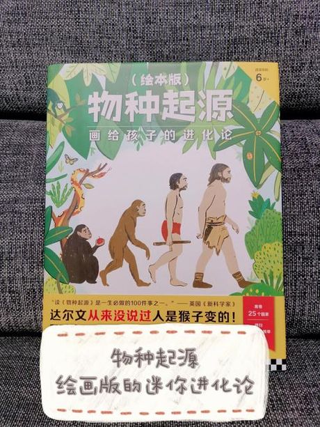 西瓜子的奥秘：它们的起源与进化